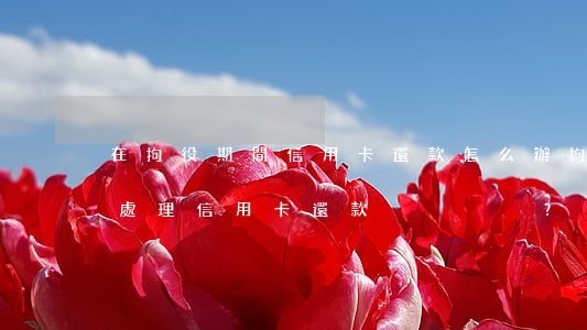 在拘役期間信用卡還款怎么辦，拘役期間如何處理信用卡還款？